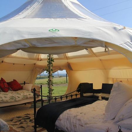 Tal-Y-Fan Farm 6M Stargazer Tent Bridgend  Exterior foto